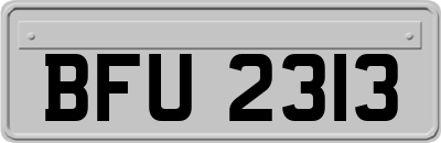 BFU2313
