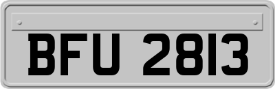BFU2813