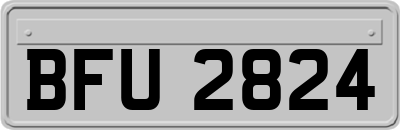 BFU2824