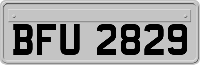 BFU2829
