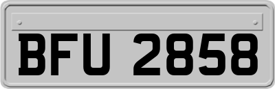 BFU2858