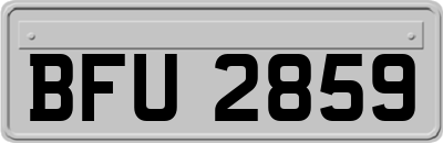 BFU2859