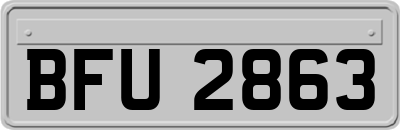 BFU2863