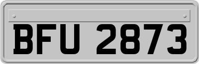 BFU2873