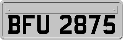 BFU2875
