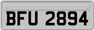 BFU2894