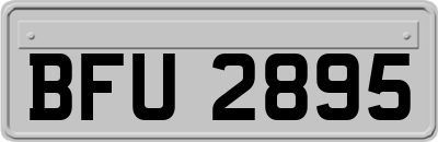 BFU2895