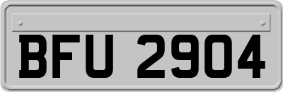 BFU2904