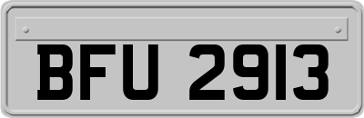 BFU2913