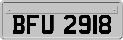 BFU2918
