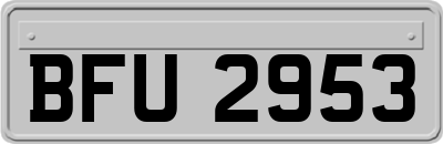 BFU2953