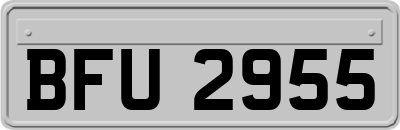 BFU2955
