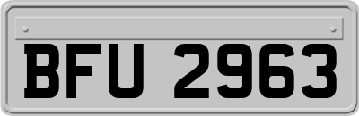 BFU2963