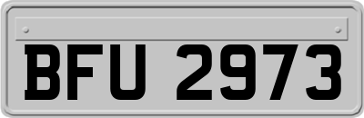 BFU2973