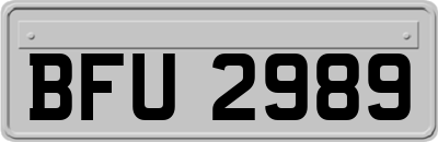 BFU2989