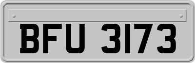 BFU3173