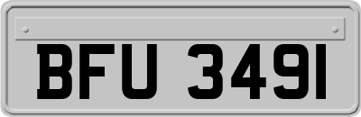 BFU3491