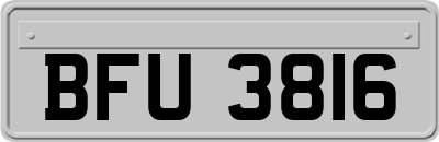 BFU3816