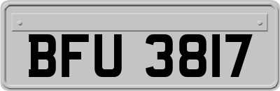 BFU3817