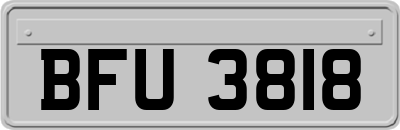 BFU3818