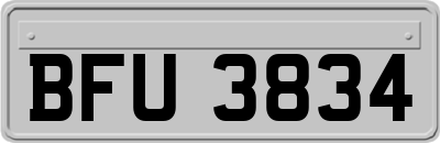 BFU3834