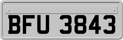 BFU3843