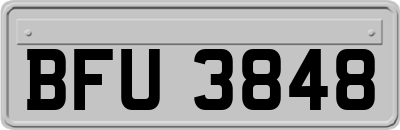 BFU3848