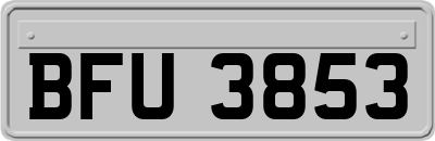 BFU3853