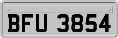 BFU3854