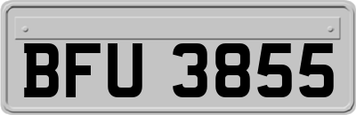 BFU3855