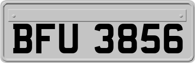 BFU3856