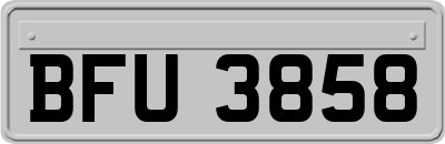 BFU3858