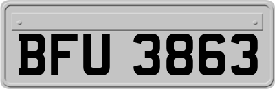 BFU3863