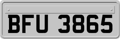 BFU3865