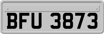 BFU3873