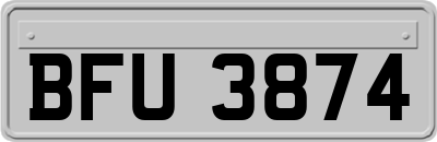 BFU3874