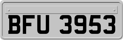 BFU3953