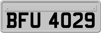BFU4029