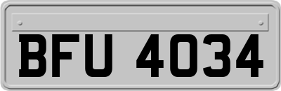 BFU4034