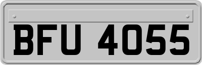 BFU4055