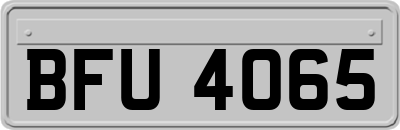 BFU4065