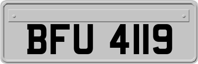 BFU4119