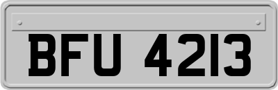BFU4213