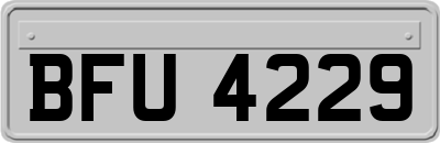 BFU4229