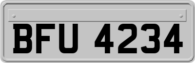 BFU4234