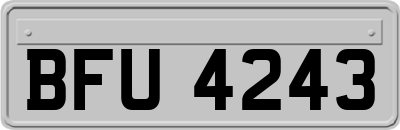 BFU4243