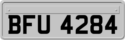 BFU4284