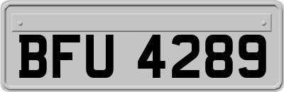BFU4289