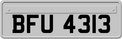 BFU4313