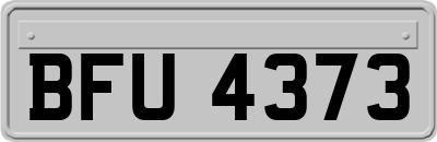 BFU4373